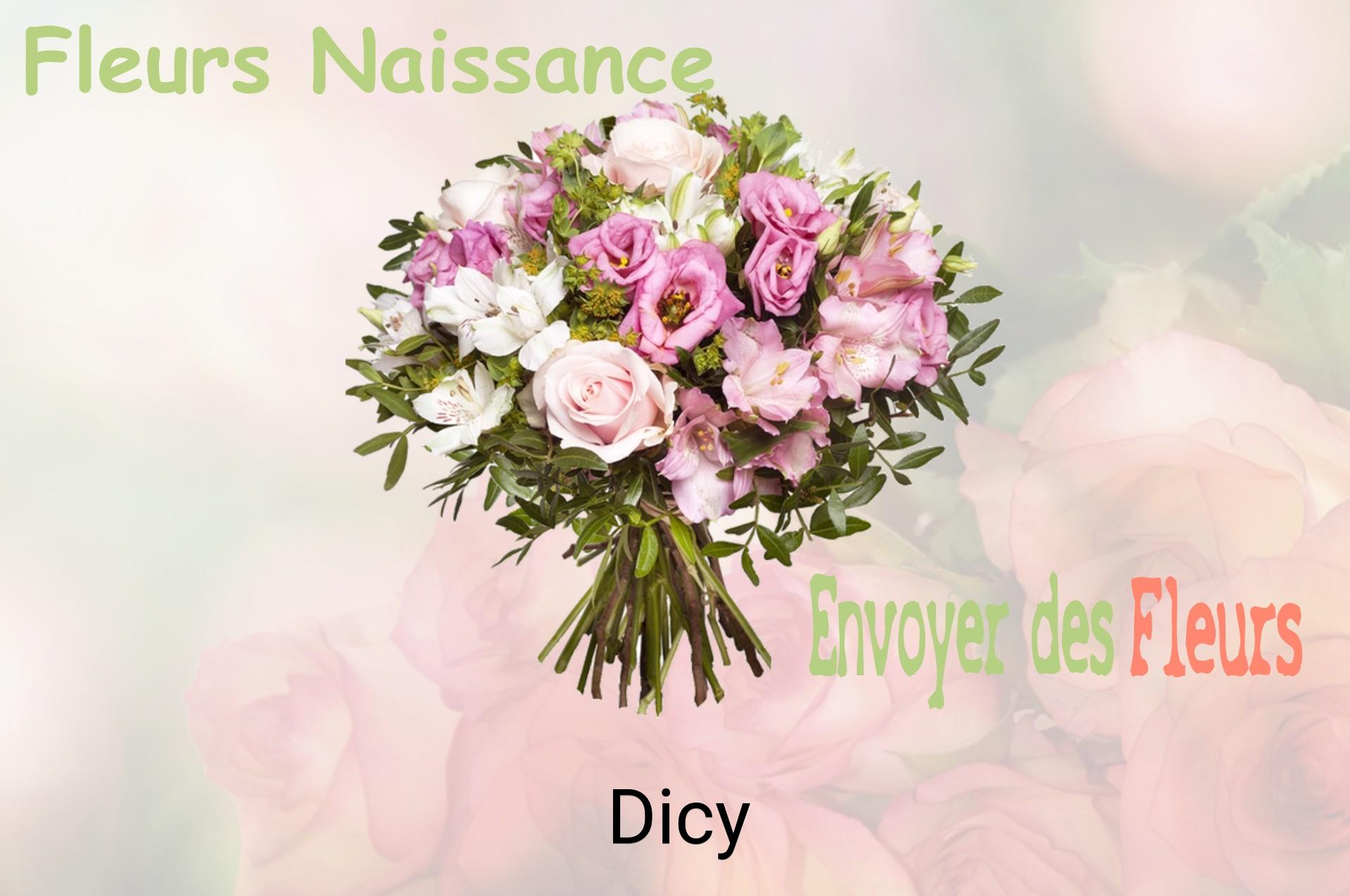 Bouquet de fleurs de naissance livré à Dicy